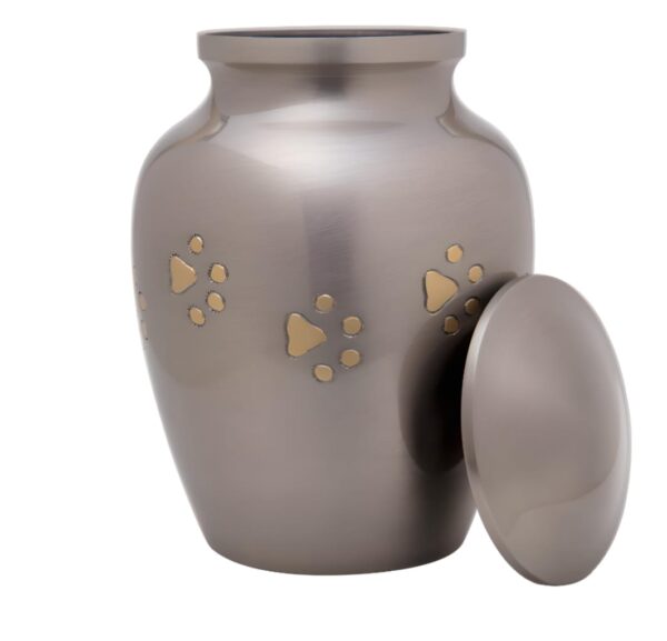 Pet Urn