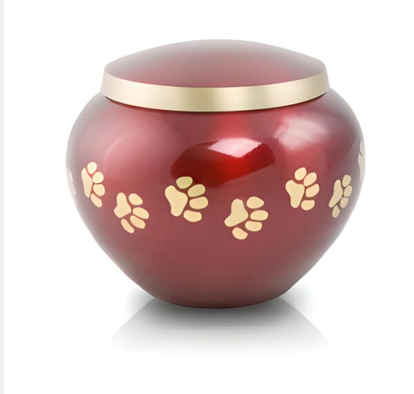 Pet Urn