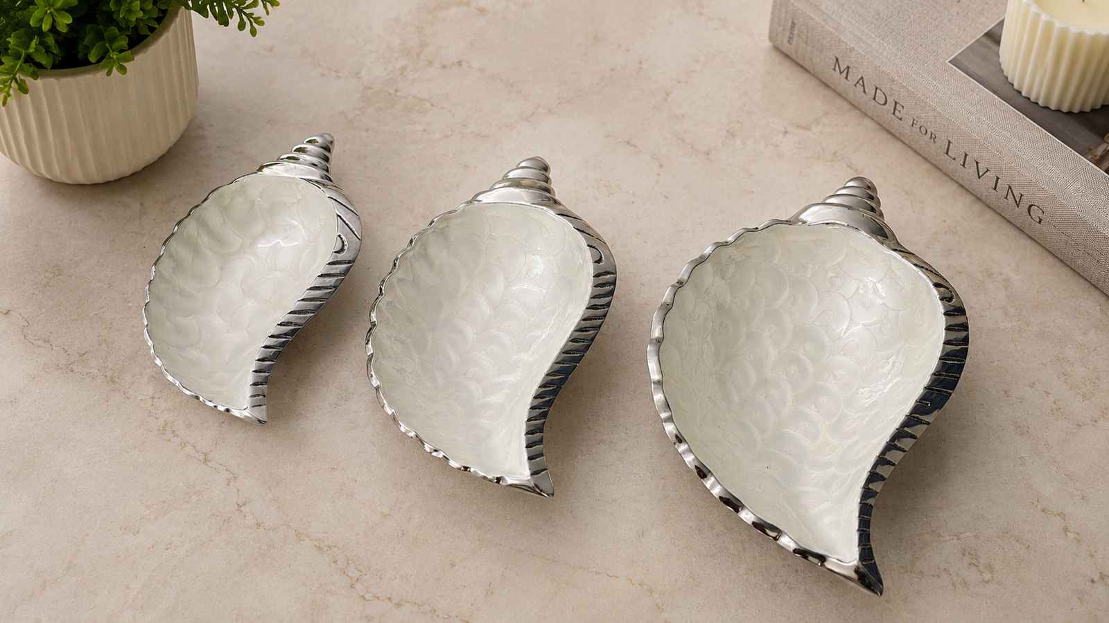luxury conch shell serving platter set luxury conch shell serving platter set